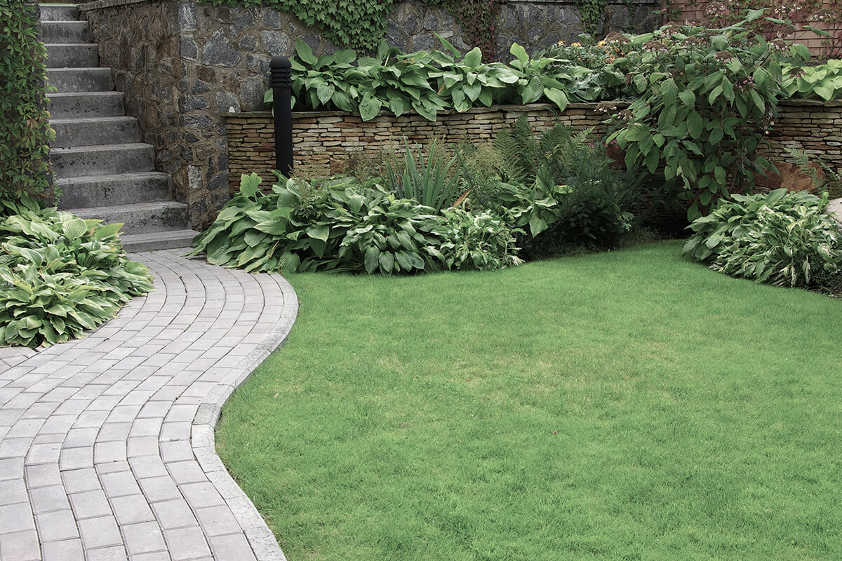 Welcome to First Choice Landscaping